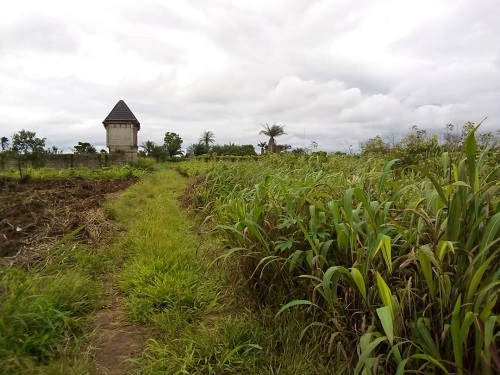 1014sqms of land at Area U New Owerri Imo State for sale