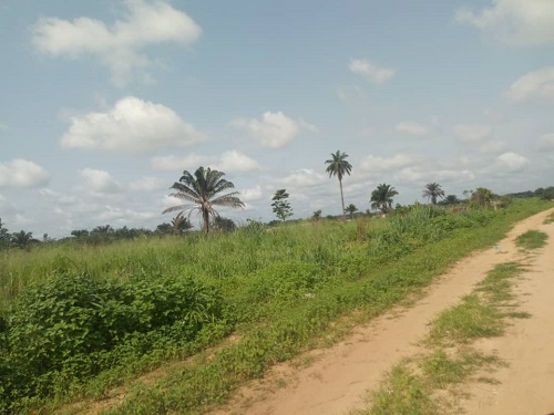 top real estate agent 24 plots of land for sale at Oforola by FACOLET road behind INEC COOPERATIVE HOUSING ESTATE
