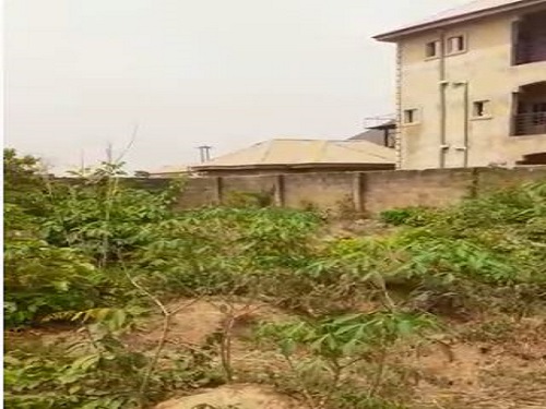 top real estate agent 600 square metre plot of land property for sale in enugu at Umuchigbo Nike Emene close to Caritas university