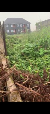 Listed property - homes for sale - real estate agent