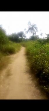 Listed property - homes for sale - real estate agent