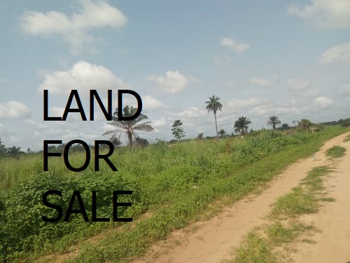 One plot of land at orji by Ezenwa onyewuchis house for sale