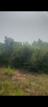 Sharp and buy and build six 6  plots of land  for sale