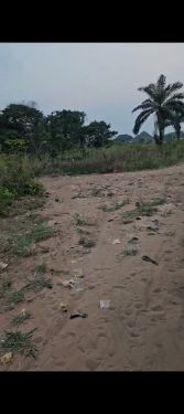 Sharp one plot of land for sale
