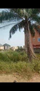 Sharp Standard one plot of land strategically located in a built up area at God&#039;s grace estate, New owerri  for sale