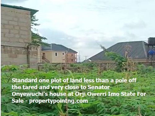 Standard one plot of land less than a pole off the tared and very close to Senator Onyewuchi&#039;s house at Orji Owerri Imo State For Sale