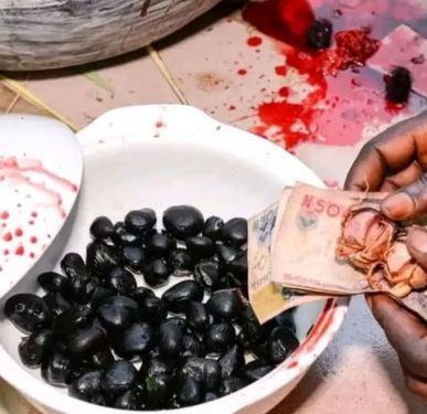 Listed property - homes for sale - real estate agent