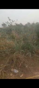 Two and half but one plot of land can go for sale at Umuodu Mbieri by Rochas Spilbat Roundabout Owerri Imo state.